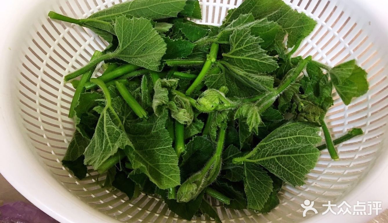 好吃美味绿化你的视野的炒南瓜尖