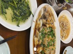 -红灯笼龙凤饭店(宁波老字号店)