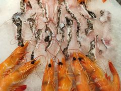 龙胆石斑-鲜螺湾(鹏欣丽都店)