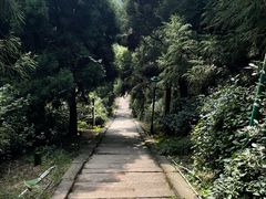 -长沙黑麋峰国家森林公园