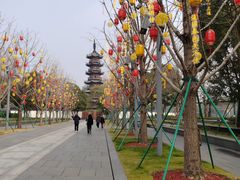 -龙华素斋(龙华路店)