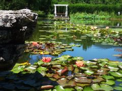 -国家植物园南园