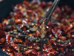 干煸牛肉丝-拈一筷子·宜宾江湖菜(十一街店)