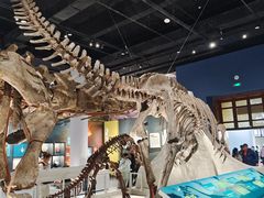 -国家自然博物馆