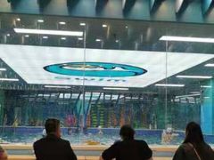 -Swim斯卫姆国际儿童游泳中心(红博中央公园店)