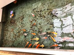 -听松楼·花园酒店·自助餐厅(红梅公园店)