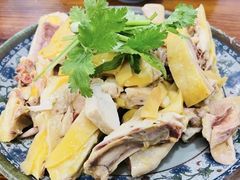 -九斤黄三黄鸡专卖店