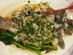 -宜宾海鲜酒家·三十年老字号