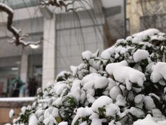 -山东师范大学(千佛山校区)