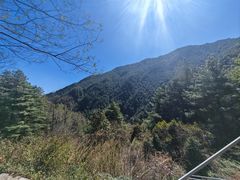 -苍山感通索道