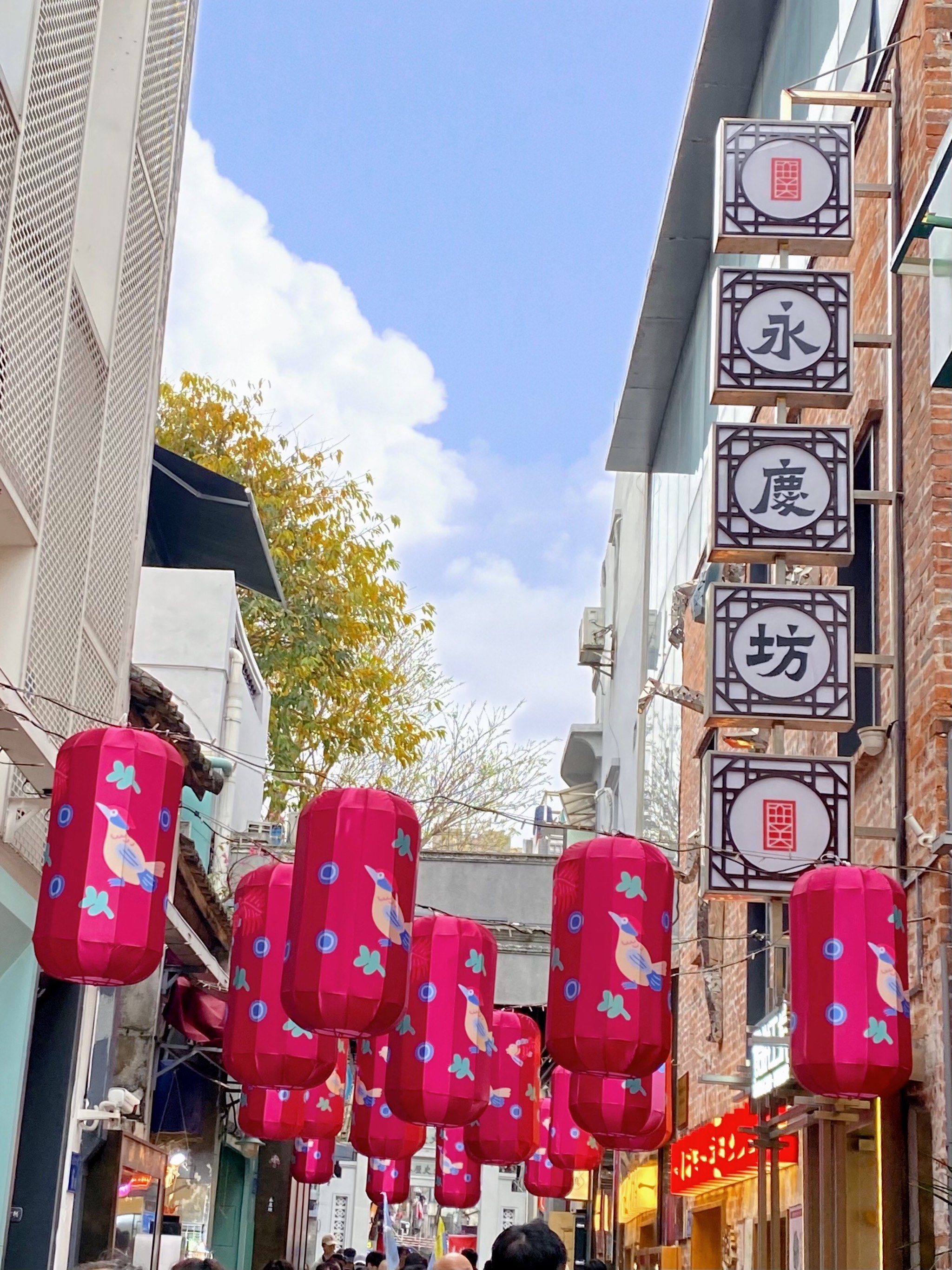 春日氛围拉满🍃🌳🌳🦋