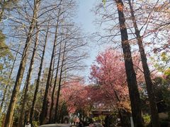 -天龙八部武侠城