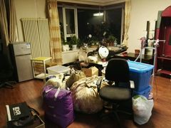 -骆驼日式搬家收纳整理