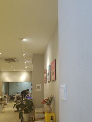 -洗脸猫·洗脸吧