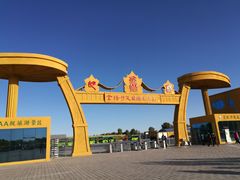-金塔沙漠胡杨林景区