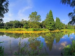 -南宁良凤江国家森林公园