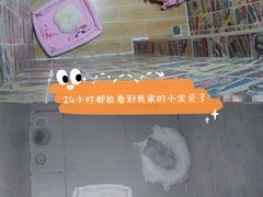 -宠物之家Pets Home 宠物寄养酒店