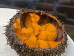 -吴记富苑(朝阳店)