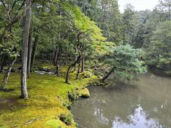 -西芳寺(苔寺)