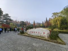 -习家池