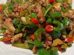 小炒八爪鱼-原製原味(普陀山磐龙店)