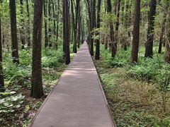-同里国家湿地公园