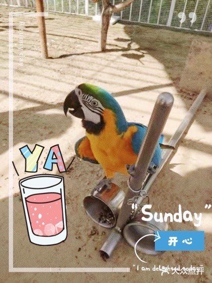 离北京最近的宝藏度假海湾