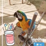 离北京最近的宝藏度假海湾