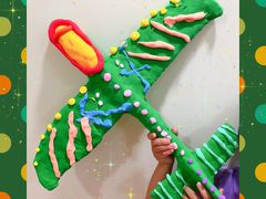 -魔力熊儿童早教托育中心(硚口同馨店)