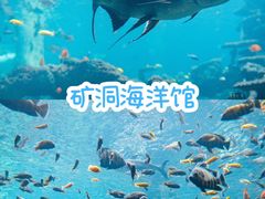 -长鹿旅游休博园