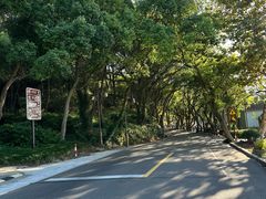 -普陀山风景名胜区-千步大沙