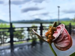 -楼外楼(西湖景区孤山路店)