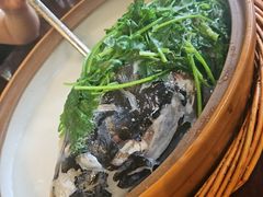 -南山竹海·珍味堂