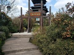 -杭州半山国家森林公园