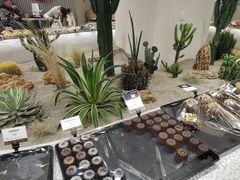 -OUR Bakery(SKP-S店)