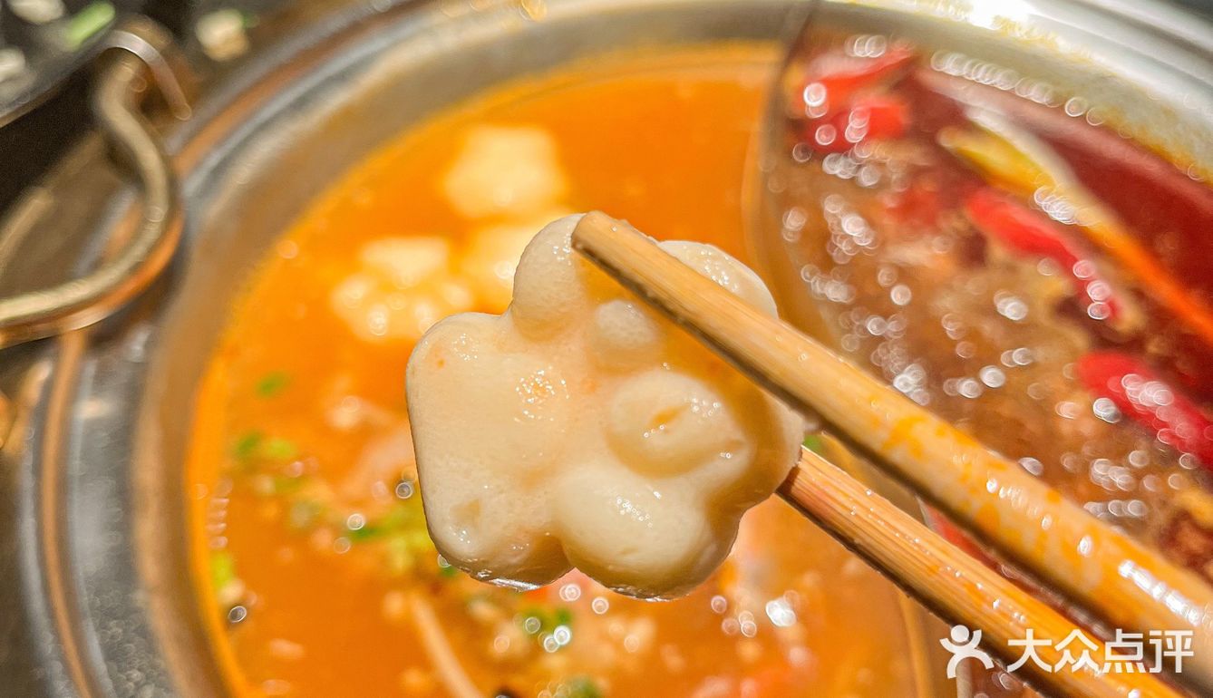 号外！熊喵来了又上新啦啦！！！