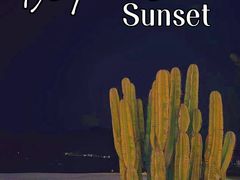 -花海间·即刻露营