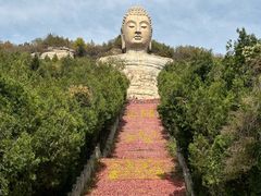 -蒙山大佛景区