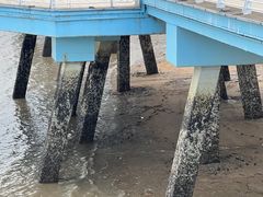 -海沧湾公园