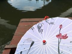 -陶辛水韵