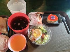 -巴黎迪士尼乐园