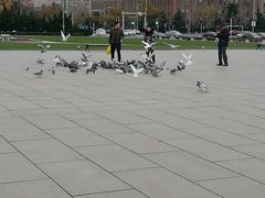 -大连人民广场