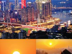 -南山植物园