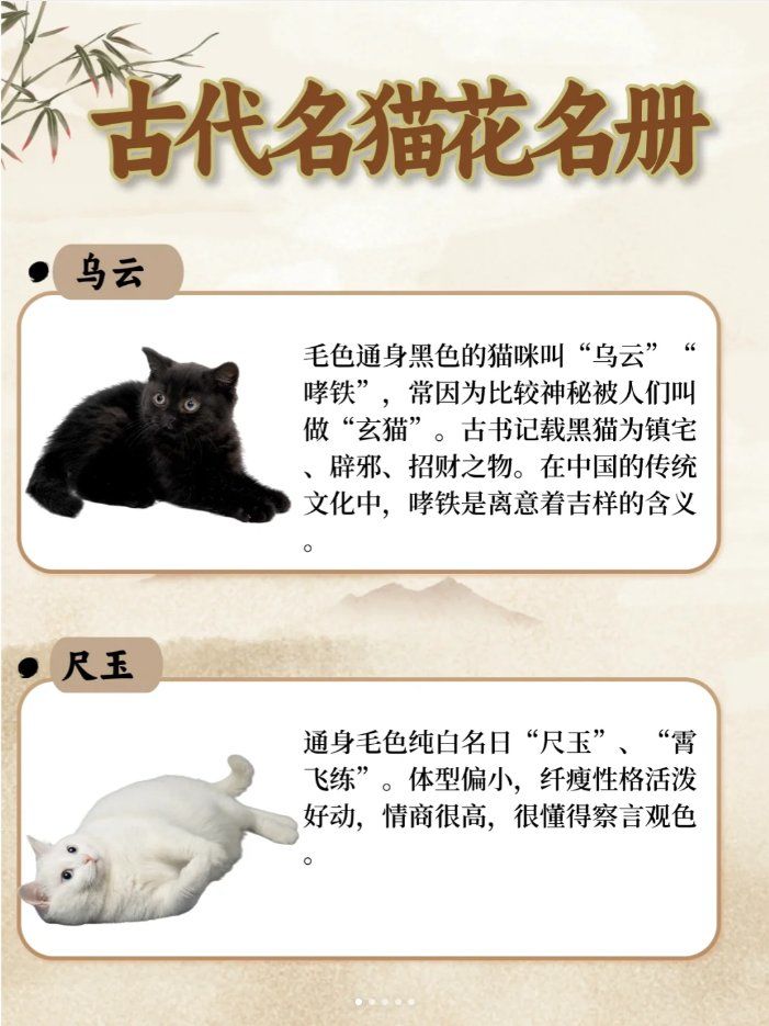 古代猫咪花名册