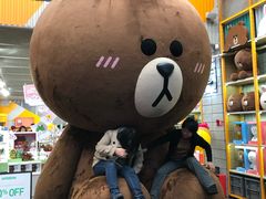 -line friends(明洞旗舰店)