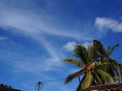 -尼甘布海鲜市场