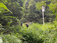-南山植物园