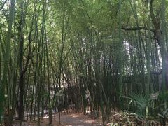 -包公祠