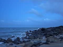 -湄洲岛