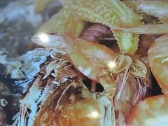 -前王院•巧克力海鲜市集餐厅(万平口店)